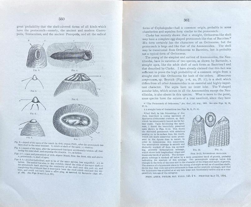 Phylogeny of an Acquired Characteristic — image 4