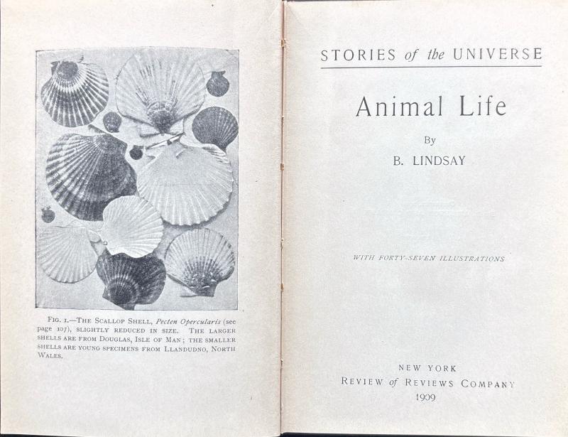 Stories of the Universe (3-Volume Set: The Story of Animal Life, The Story of the Earth, The Story of the Stars) — image 3