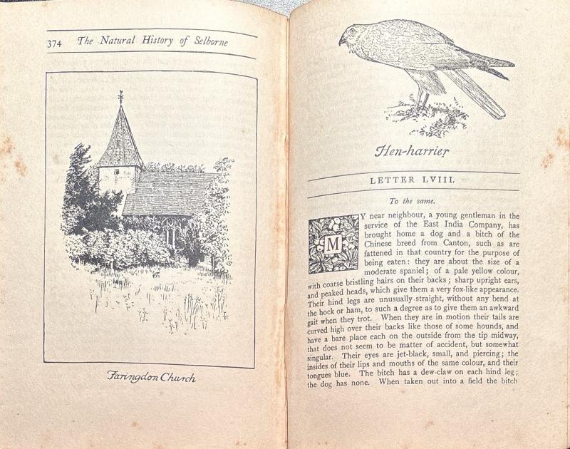 The Natural History of Selborne — image 4