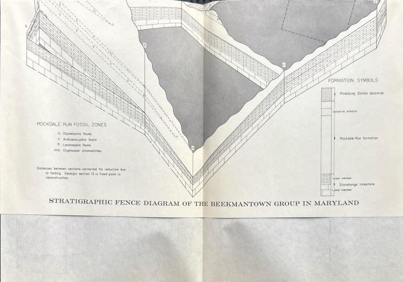 Beekmantown Group (Lower Ordovician) of Maryland — image 5