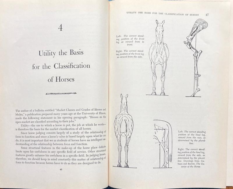 The Horse: Judging, Breeding, Feeding, Management, and Selling — image 4