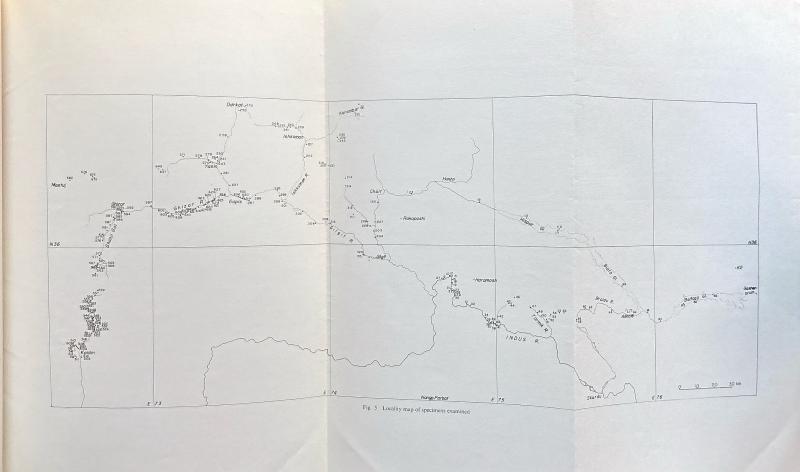 Geology of the Karakoram and Hindu Kush: Scientific Report of the 1955 Kyoto University Scientific Expedition (KUSE), with Map — image 5