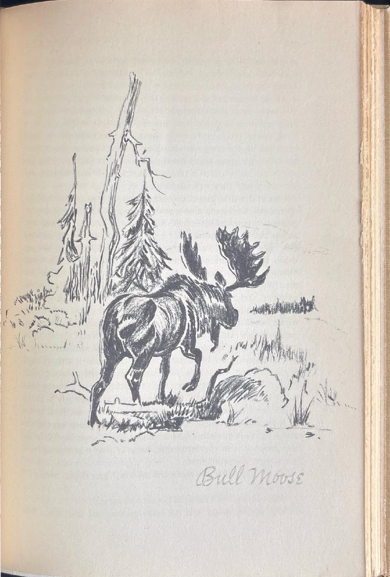 Driftwood Valley — image 5