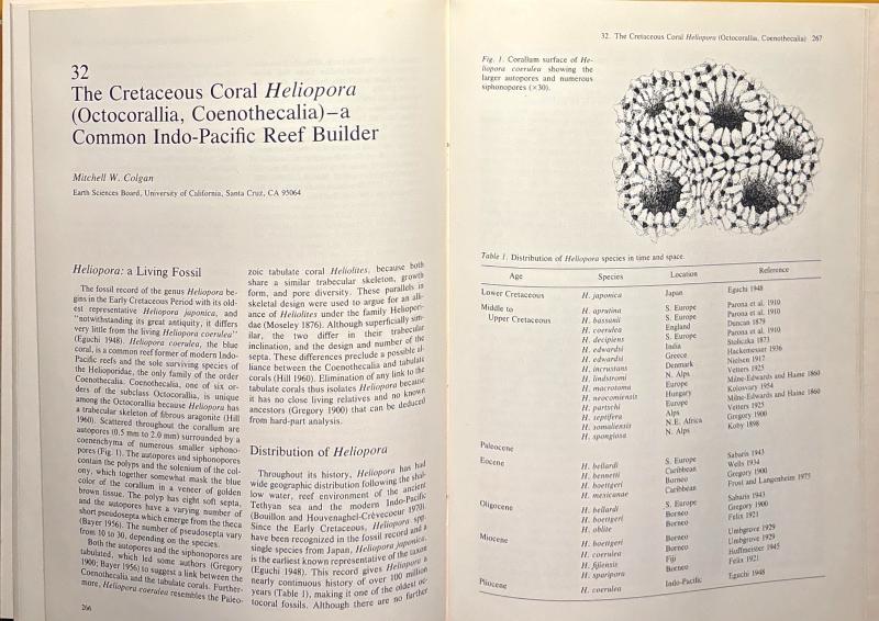 Living Fossils: Casebooks in Earth Sciences — image 5