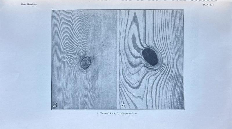 Wood Handbook: USDA Forest Products Laboratory Engineering, First Edition (1935) — image 4