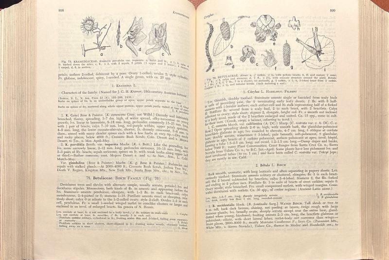 A California Flora and Supplement — image 5