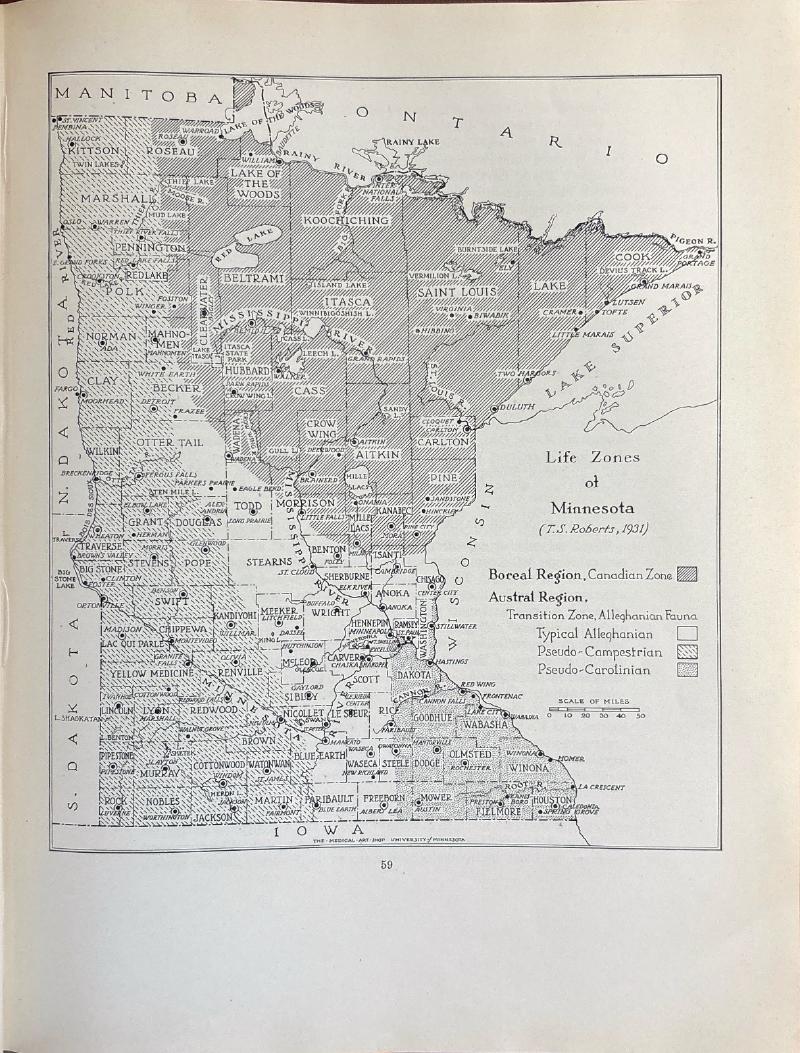 The Birds of Minnesota Vol I — image 3