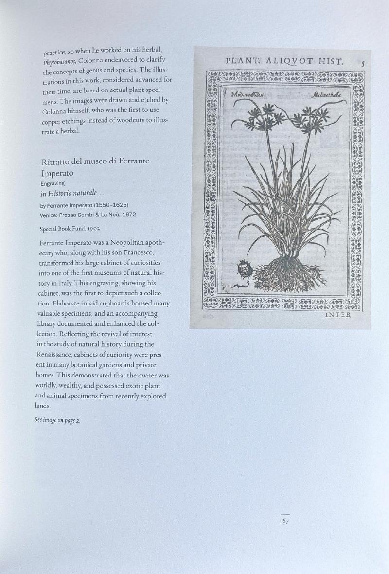 The Renaissance Herbal: New York Botanical Garden Exhibition Catalog — image 5