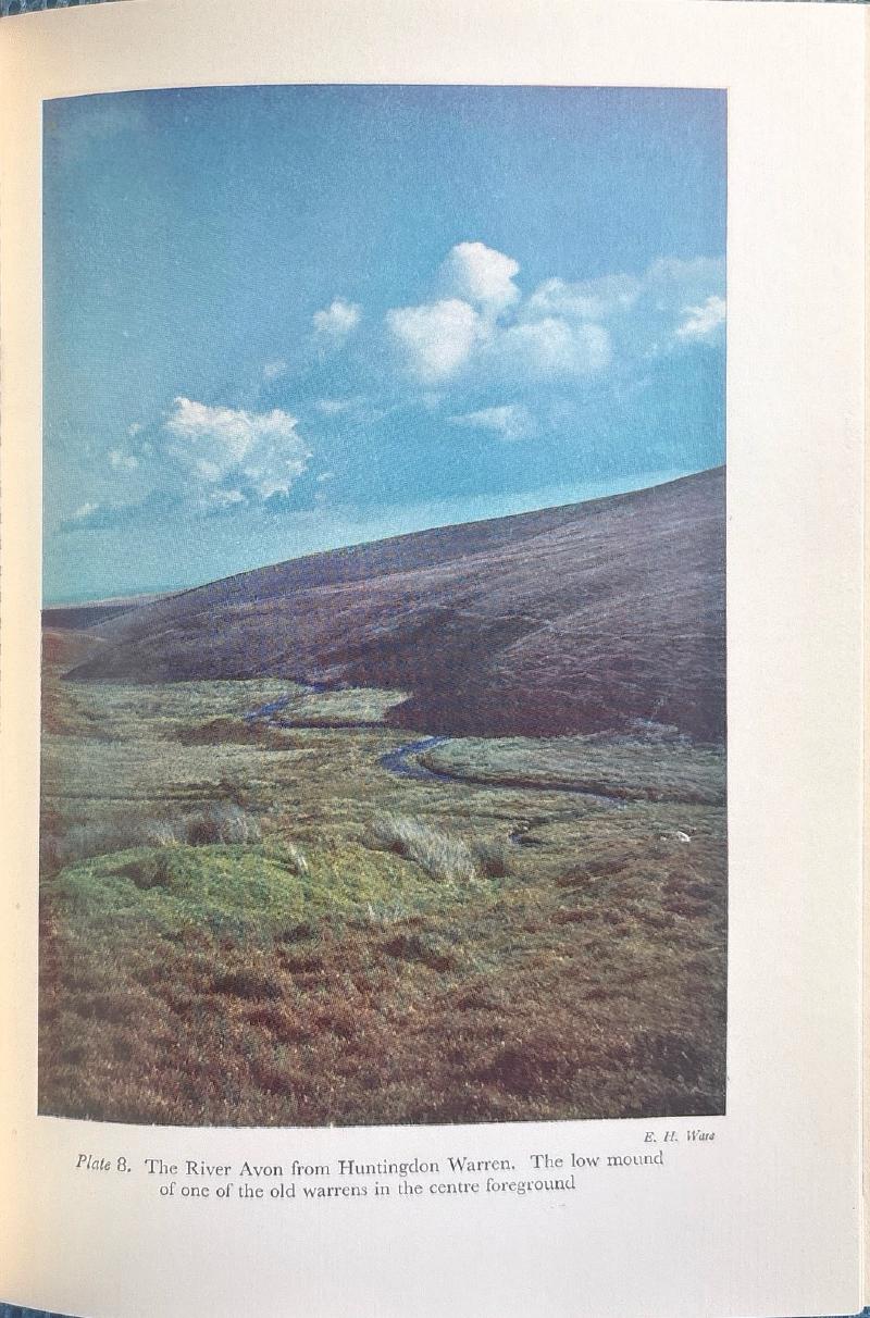 Dartmoor — image 5