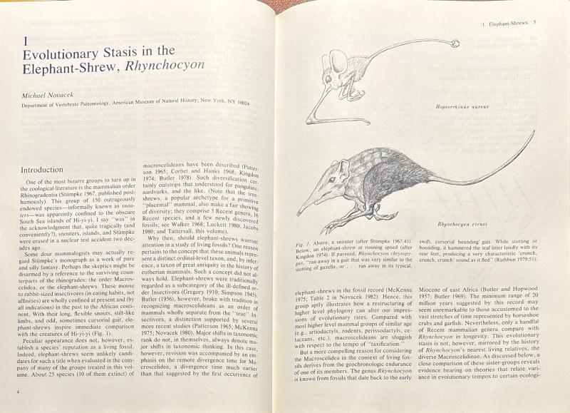 Living Fossils: Casebooks in Earth Sciences — image 2