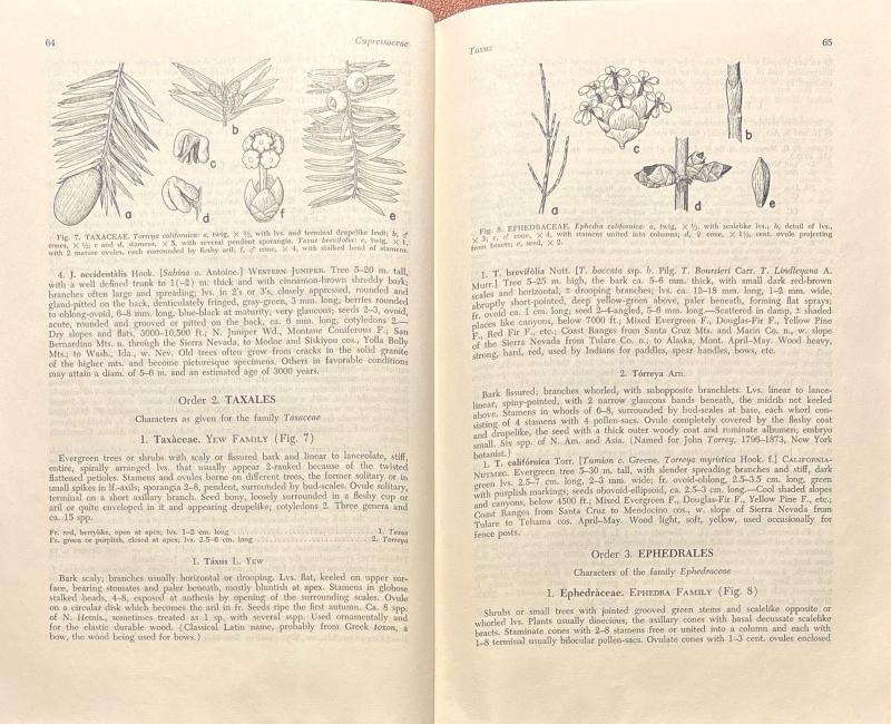 A California Flora and Supplement — image 3