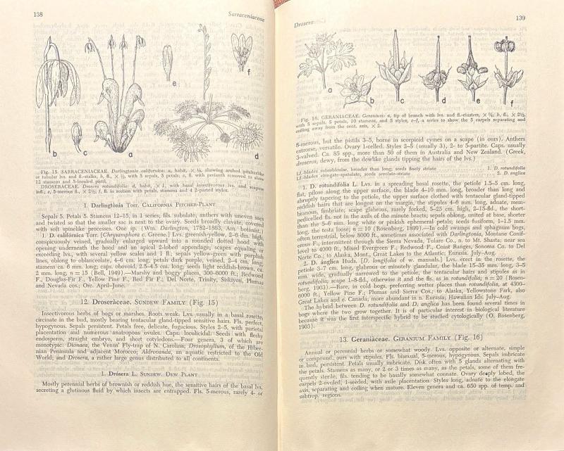 A California Flora and Supplement — image 4