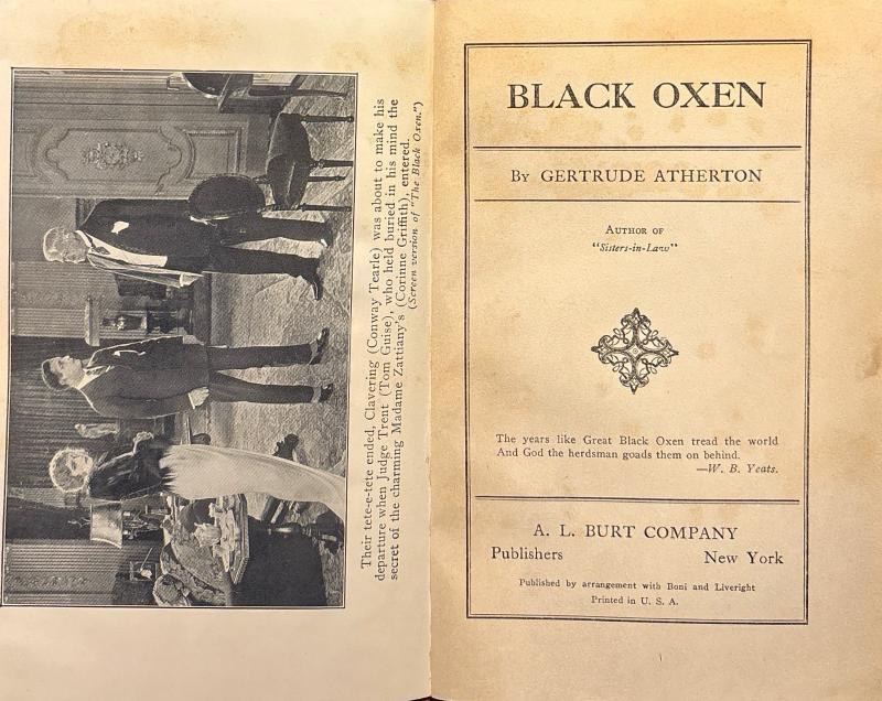 Black Oxen — image 3