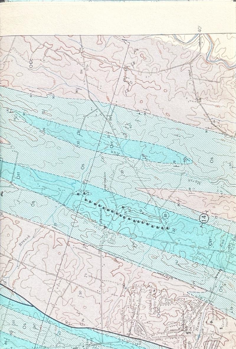 Beekmantown Group (Lower Ordovician) of Maryland — image 3