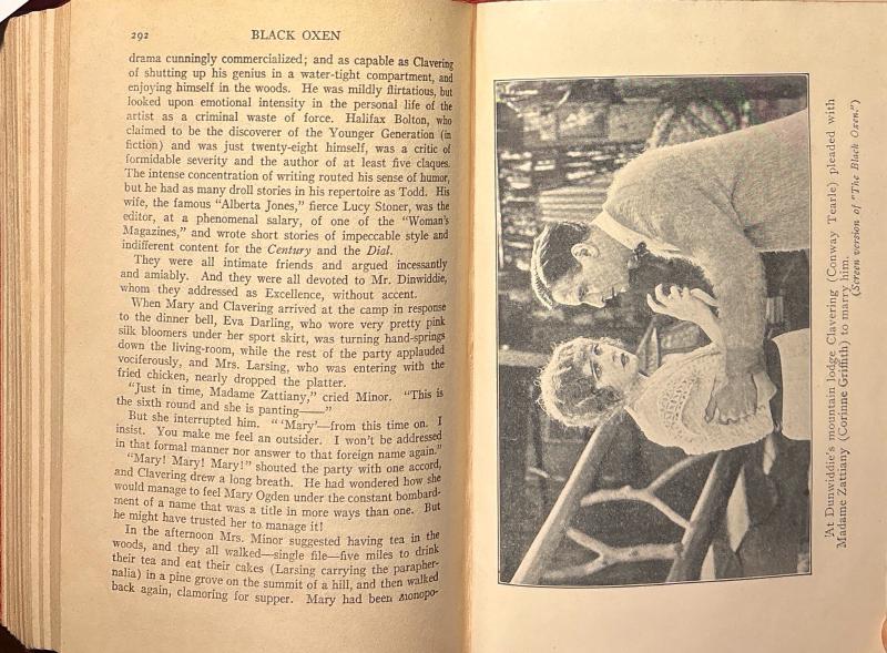 Black Oxen — image 5
