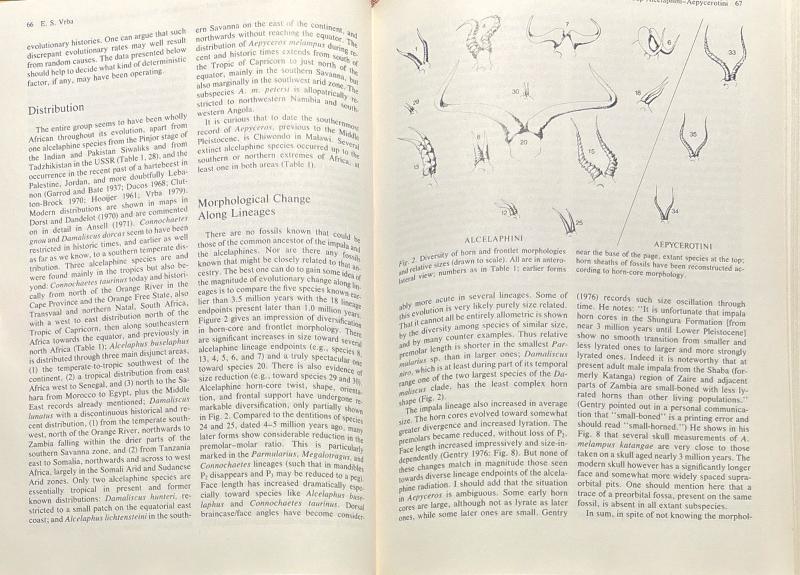 Living Fossils: Casebooks in Earth Sciences — image 3